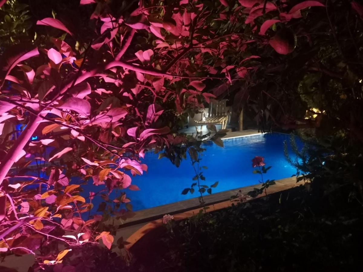 Riad Avec Terrasse Privee Et Piscine Partagee A 300M Fez Eksteriør billede